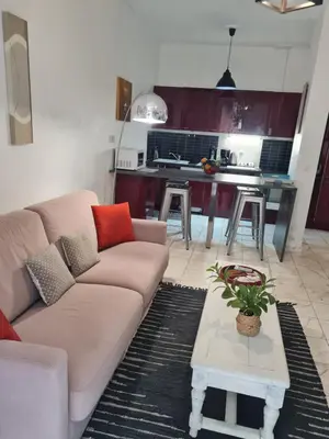 a living room with a couch and a table at la palais osiris Nice centre jardin wifi clim parking in Nice