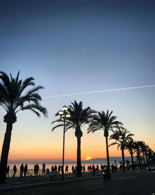 a group of palm trees on the beach at sunset at La Maioneta Carré d'Or in Nice