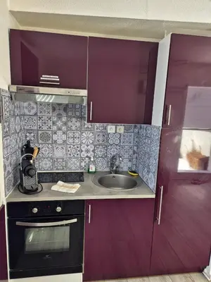 a small kitchen with a sink and purple cabinets at Plein centre Appartement climatisé et spacieux avec grande terrasse sur le toit à Nice in Nice