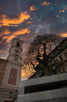 a clock tower with a tree in front of a building at Old Town Luxury 3 Beds in Nice
