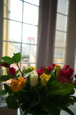 a vase filled with flowers in front of a window at Prestige Designer Apartment, Super Central in Nice