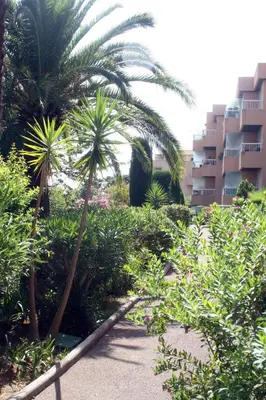 a garden with palm trees and a building at Studio Le Fabrina Riviera in Nice