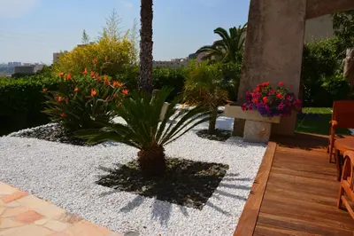a garden with a plant and flowers on a patio at Villa ZEN in Saint-Laurent-du-Var