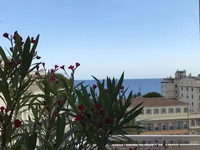 a view of a building and a tree with flowers at LOFT 360° Nice in Nice