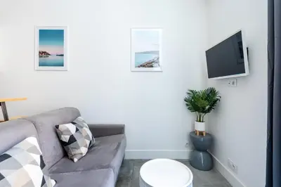 a living room with a couch and a tv at 1 CASSINI - Magnifique 2 pièces place Garibaldi - Balcon in Nice
