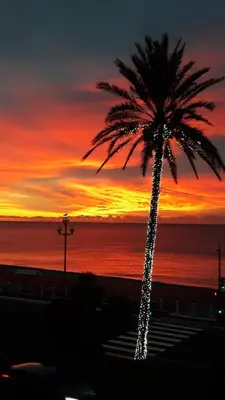 a palm tree with a sunset in the background at STUDIO PROMENADE FLORIDA BEACH in Nice