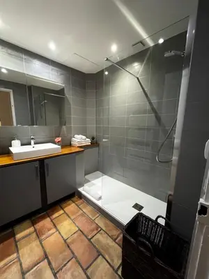 a bathroom with a shower and a sink at Nice Grand appartement face jardin in Nice