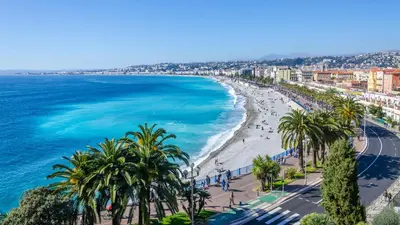 a view of a beach with palm trees and the ocean at Nestor&Jeeves - DALPOZZO GRANDE - Central - Close beaches in Nice