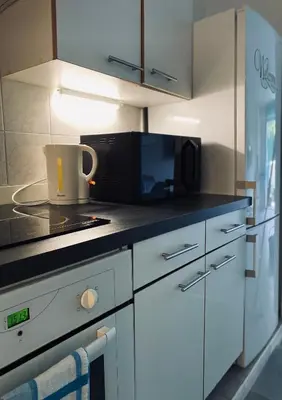 a kitchen with a microwave and a stove top oven at Studio Jardin Fleuris Parking in Nice