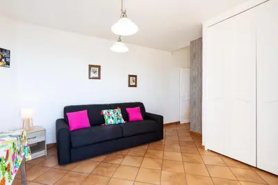 a living room with a black couch and pink pillows at Observatoire in Nice