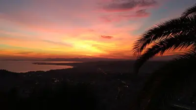 a sunset with a palm tree in the foreground at Observatoire in Nice