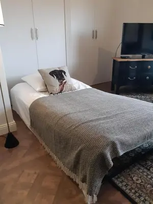 a bedroom with a bed with a cat sitting on a pillow at COCOON LOFT - MAGNIFIQUE LOFT SOUS TOIT, REFAIT A NEUF, VUES SPLENDIDES, CLIM, WIFi in Nice