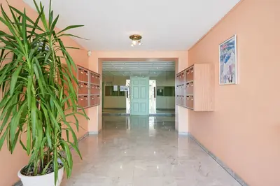 a hallway with a potted plant in a building at Sunlight Properties - Sky blue - 3 bedroom flat with sea view on the Promenade des Anglais in Nice