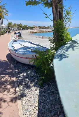 a boat sitting on the beach next to a tree at Cocon douillet face à la mer de Cagnes sur mer in Cagnes-sur-Mer