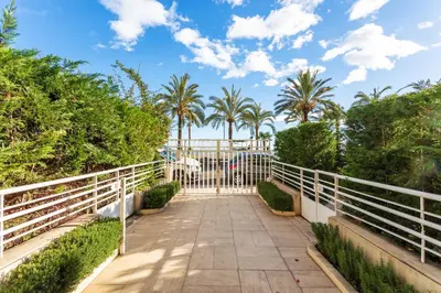 a walkway with palm trees and a white fence at BAMBOO PLAGE AP4220 by Riviera Holiday Homes in Nice