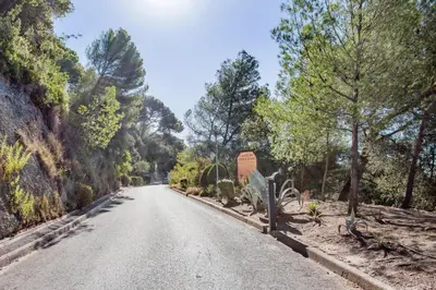 an empty road with trees on either side at LE MIRAMAR Nice - Clim, Parking, Wifi et piscine in Nice