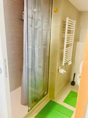 a bathroom with a shower with a green floor at Alexandre Mari old town few meters to the beach in Nice