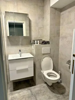 a bathroom with a toilet and a sink and a mirror at Studio Carré d'Or in Nice