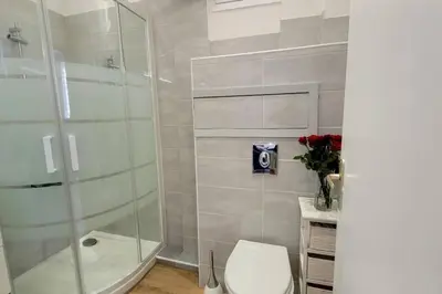 a bathroom with a shower and a toilet in it at Ze Perfect Place - Confortable appartement 2 CHB - Asc - Port - Garibaldi in Nice