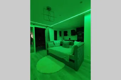 a green room with a bed and a basketball hoop at Nid d'amour baignoire/jacuzzi in Nice