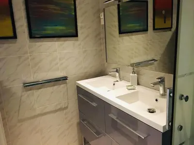a bathroom with a sink and a mirror at Un havre de paix et de calme en plein centre de Massena in Nice