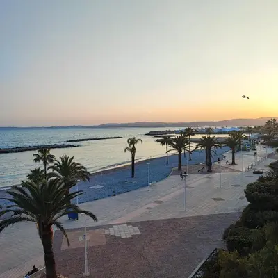 a view of a beach with palm trees and the ocean at Grand studio bord de mer- accès direct aux plages in Saint-Laurent-du-Var