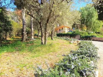 a garden with trees and a house in the background at Un brin de paille in Cagnes-sur-Mer