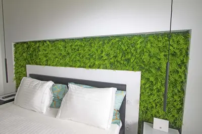 a green wall behind a bed in a bedroom at Luxury Garden Jacuzzi Promenade in Nice