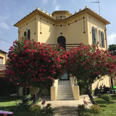 a church with two trees with pink flowers at Les palmiers in Nice