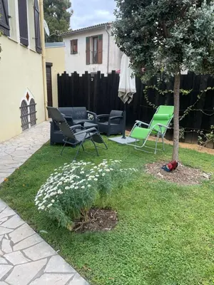 a yard with chairs and a tree and white flowers at Les palmiers in Nice