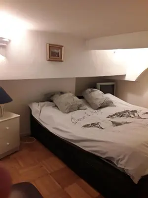 a bed with two pillows on it in a bedroom at L'anthurium de l'Opéra in Nice