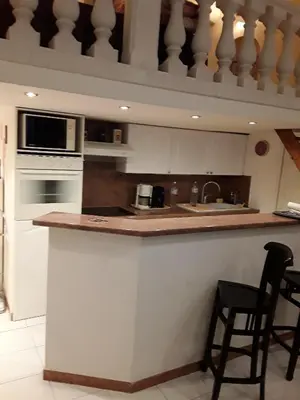 a kitchen with a counter with a sink and a microwave at L'anthurium de l'Opéra in Nice