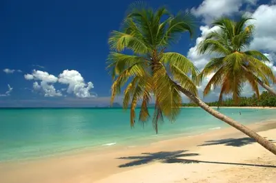 two palm trees on a beach with the ocean at Asterio Test Hotel in Nice
