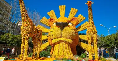 two giraffes standing in a field of flowers at Nice Vieille Ville Appartement neuf et cosy, deux chambres, 6 couchages in Nice