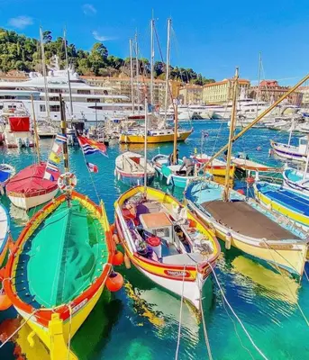 a bunch of boats are docked in a harbor at The Grand Riviera Apartments Nice - Top Choice in Nice in Nice