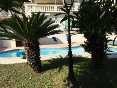 two palm trees in front of a swimming pool at Villa Paradiso, logement avec piscine, Nice Nord in Nice