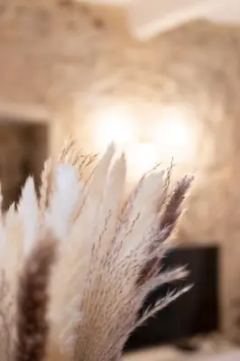 a bunch of feathers sitting on a table at Old Town Nice Renovated 2BR Near Beaches & Cours Saleya in Nice