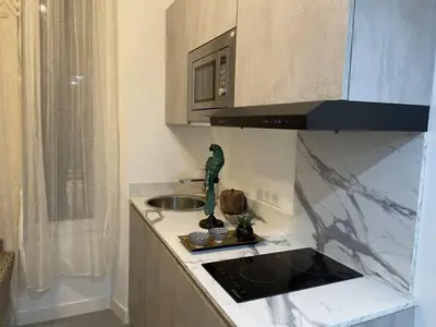 a kitchen with a sink and a counter top at Apart Nissa Bella Massena / Vieux Nice in Nice