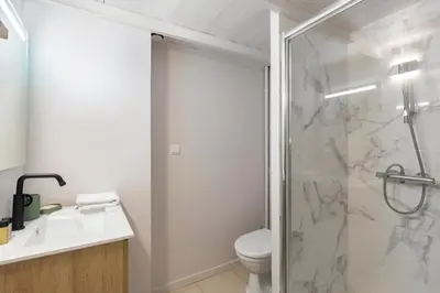 a bathroom with a shower and a toilet and a sink at La plume de Paul in Nice