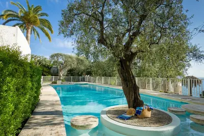 a swimming pool with a tree next to a tree at Ferienwohnung Les Oliviers über den Dächern von Nizza ruhig sonnig Meerblick Pool Tiefgarage Parkplatz in Nice