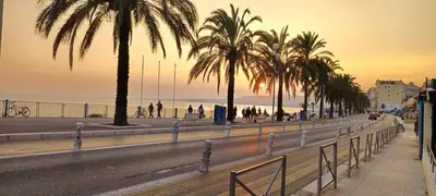 a road with palm trees and a beach with the sunset at Le Grand Bleu in Nice