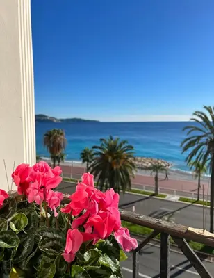 a vase of pink flowers on a balcony with the beach at Luxury apartment with sea view on the first line Promenade des Anglais in Nice