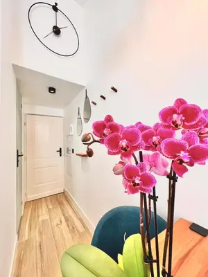 a room with a vase with pink orchids at DUPLEX LE GESÙ - VIEILLE VILLE - CLIM - WIFI in Nice