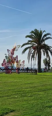 a green field with a palm tree in the background at 2 pièces calme et fonctionnel in Cagnes-sur-Mer