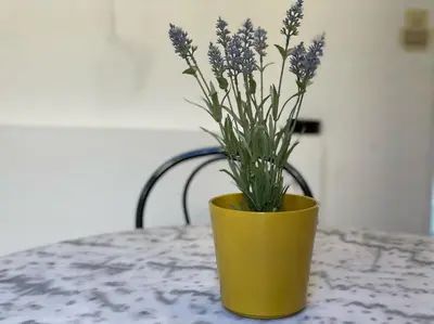 a yellow vase with a plant on a table at Nice Renting - BONAPARTE - Luxury Loft Trendy neighborhood - AC - fully equipped in Nice