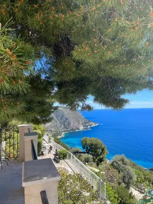a view of the ocean from under a tree at Sea View Apartment with Private Secure Parking - 2 in Villefranche-sur-Mer